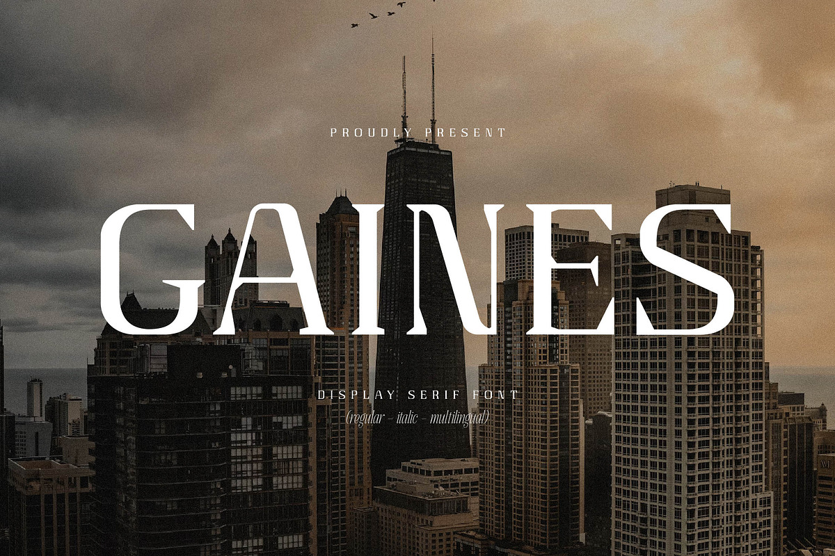 Gaines Display Serif Font, a Serif Font by Storytype Studio (Photo 1 of 14)
