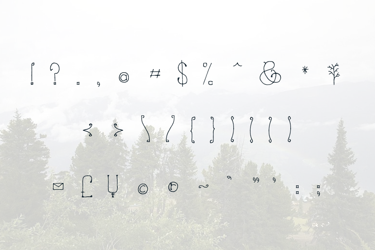 Sleeping Forest, a Serif Font by TypeKatsu (Photo 4 of 4)