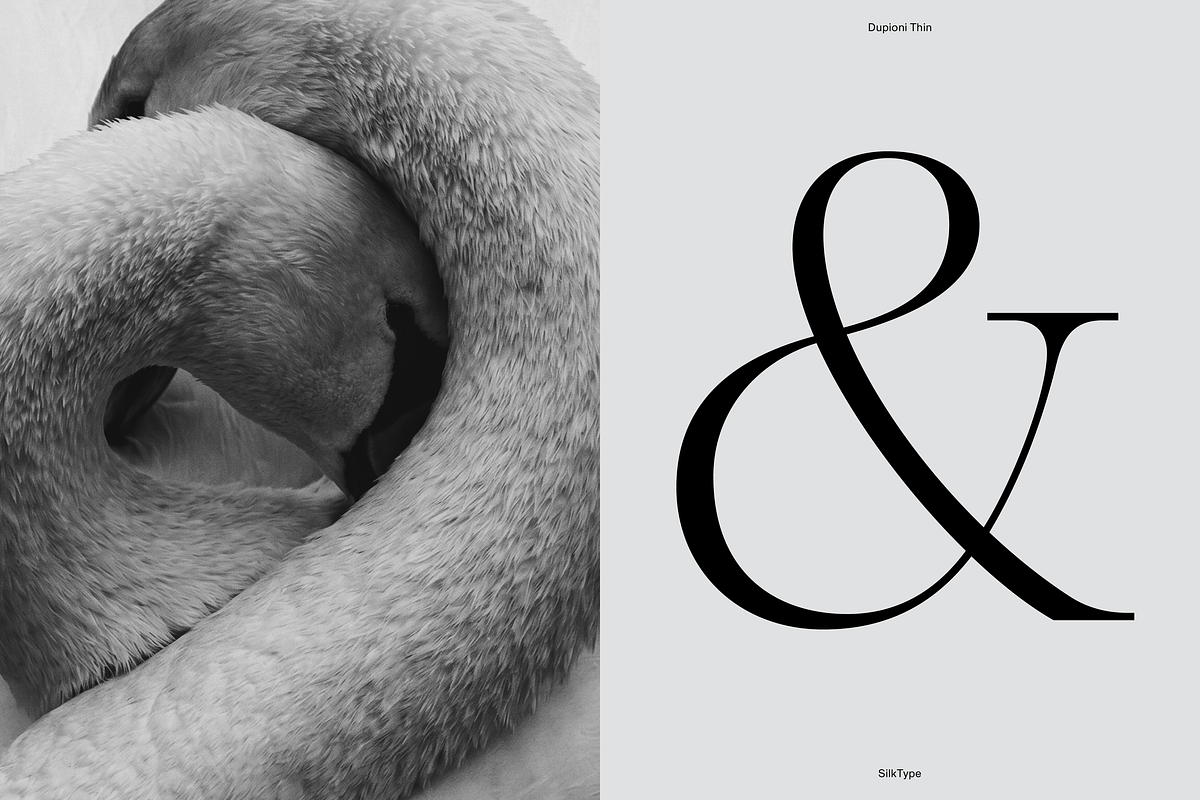 Dupioni Thin - Ligature Serif, a Serif Font by Silktype (Photo 6 of 20)
