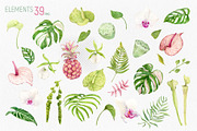 Tropical Flowers. Exotic flora set, an Illustration by Tata Pilip (Thumbnail 20 of 21)