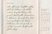 Dear Amora Handwritten Script, a Handwritten Font by Perplexitics (Thumbnail 11 of 12)