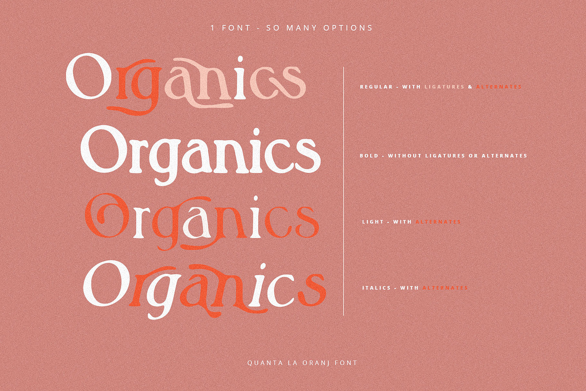 Quanta La Oranj Vintage Serif Font, a Serif Font by Creativeqube Design (Photo 12 of 14)