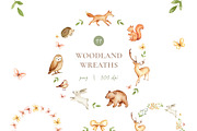 Woodland Watercolor Illustrations, an Animal Illustration by Liliia Polos Illustration (Thumbnail 6 of 16)