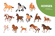 Horses, equine animal breeds set, an Animal Illustration by Good Studio (Thumbnail 1 of 5)