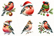 Christmas Grosbeak Birds Clipart, an Illustration by OK Design (Thumbnail 4 of 5)