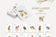 Woodland animals. Alphabet & Pattern, an Animal Illustration by polikarpovaart (Thumbnail 4 of 12)