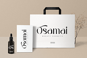 Begin - Modern Luxury Sans Serif, a Sans Serif Font by Sensatype (Thumbnail 12 of 16)