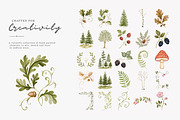 whimsical woodland clipart set, a Decorative Illustration by Patishop Art (Thumbnail 13 of 15)