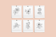 Flower Garden Vector Illustrations, a Decorative Illustration by Emma Webb Studio (Thumbnail 5 of 8)