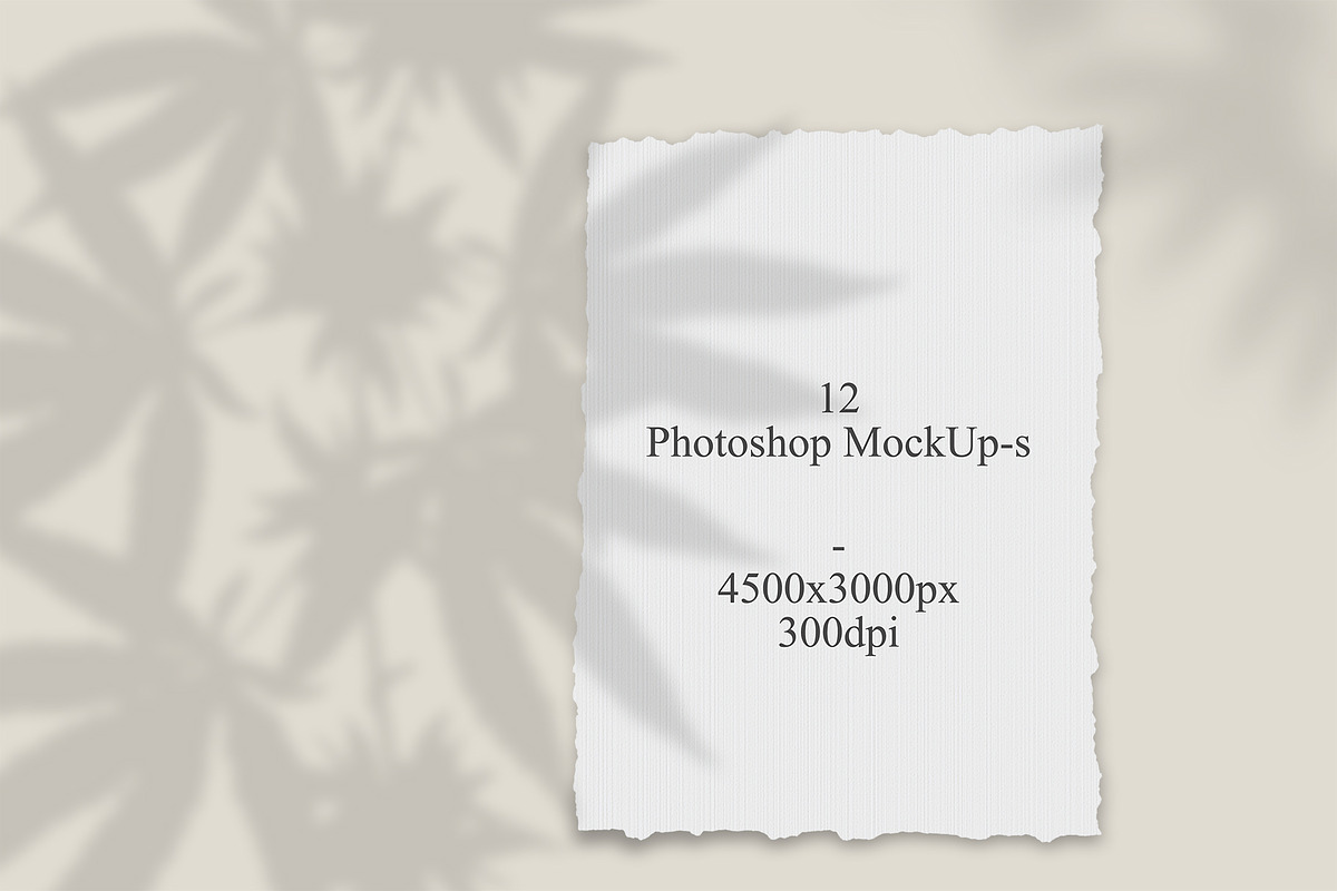 Hemp/Marijuana Shadows & MockUp, a Mockup by Jeanina Vlad (Photo 4 of 17)