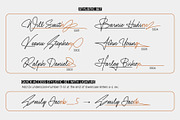 Sinatra | Monoline Signature, a Script Font by Lemonthe (Thumbnail 7 of 9)
