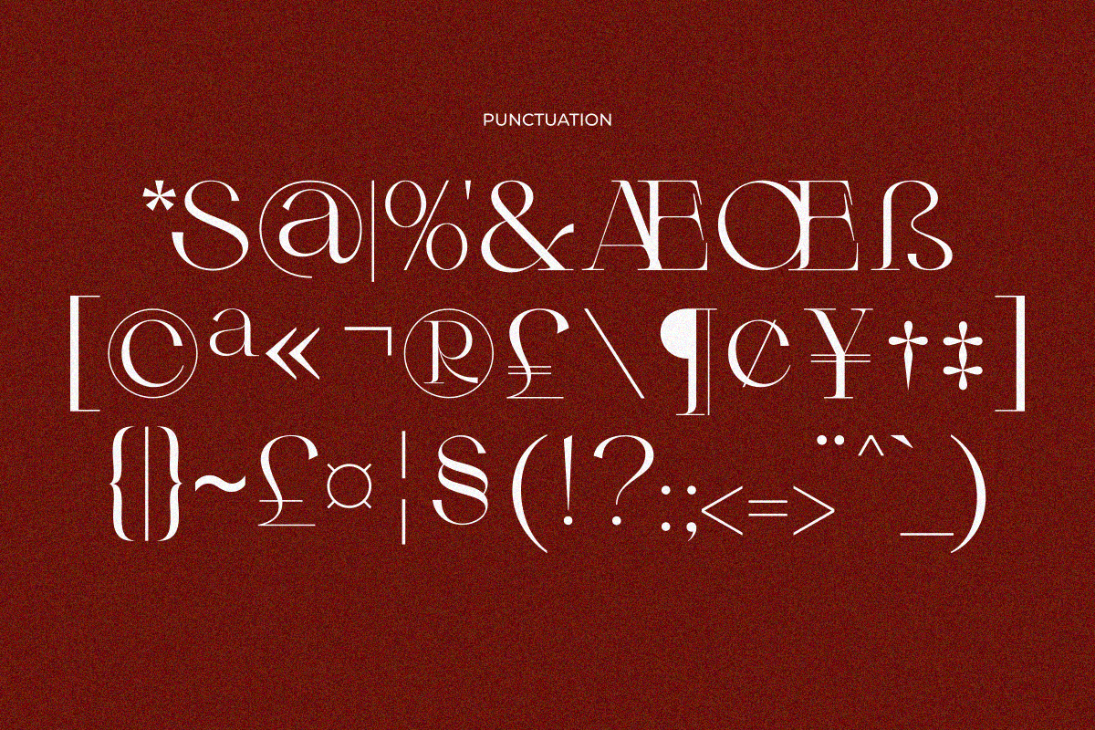 Arneta, a Serif Font by zaaintype (Photo 11 of 11)