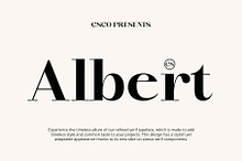 CS Albert – Classic Font