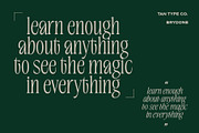 TAN-BRYDONE, a Font by TanType (Thumbnail 7 of 16)