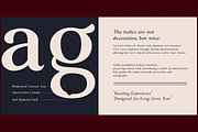 Noctera Modern Editorial Serif Font, a Serif Font by LuhopCreative (Thumbnail 11 of 15)