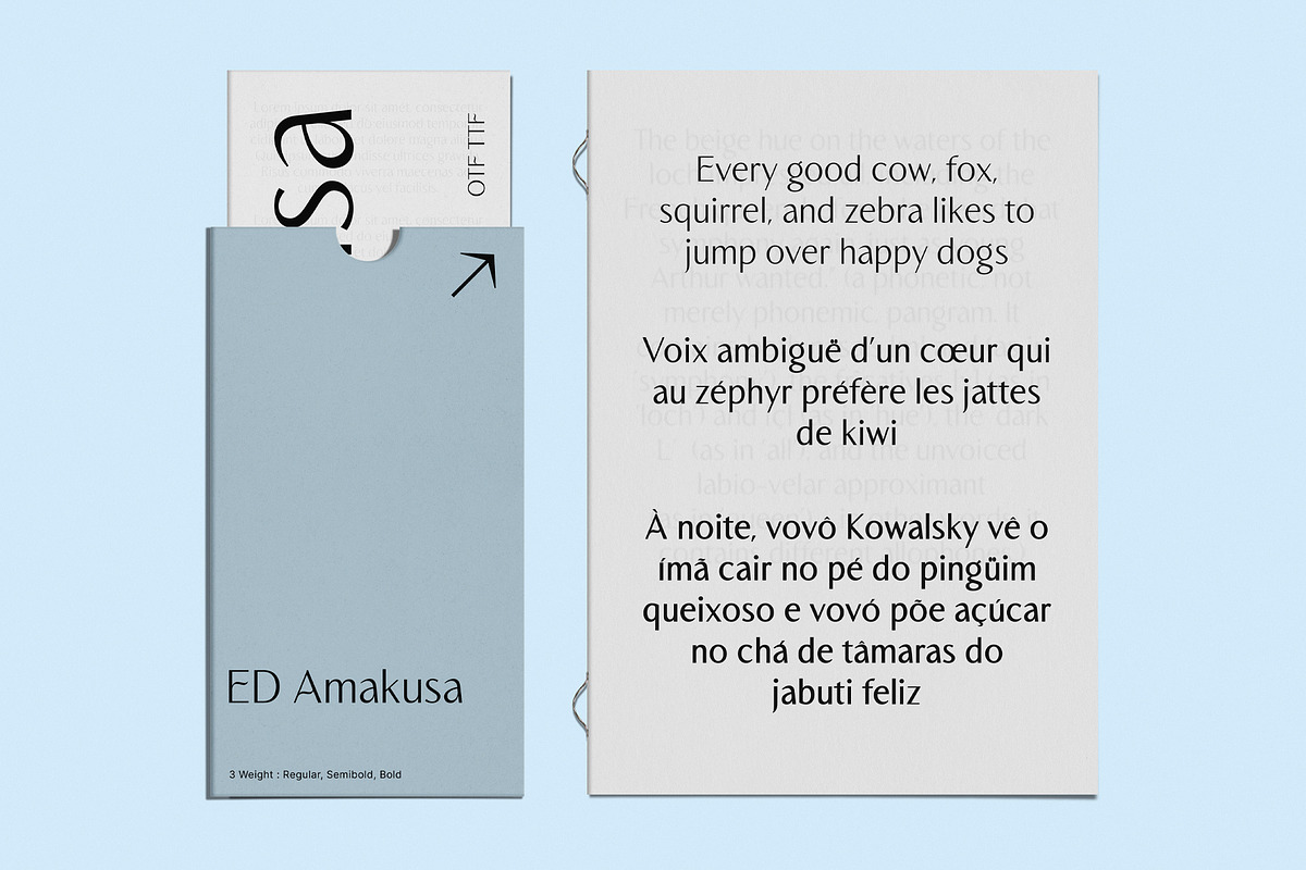 ED Amakusa - Modern Display Font, a Sans Serif Font by Emyself Design (Photo 9 of 12)