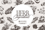 Botanical Herb Ingredients, a Healthcare Illustration by TheMountBirdStudio (Thumbnail 1 of 10)