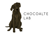 Chocolate Labrador Illustration, an Illustration by Shiny Penny Studio (Thumbnail 1 of 2)