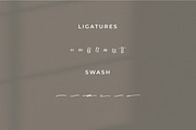 Quinttesa, a Script Font by Integritype Studio (Thumbnail 11 of 15)