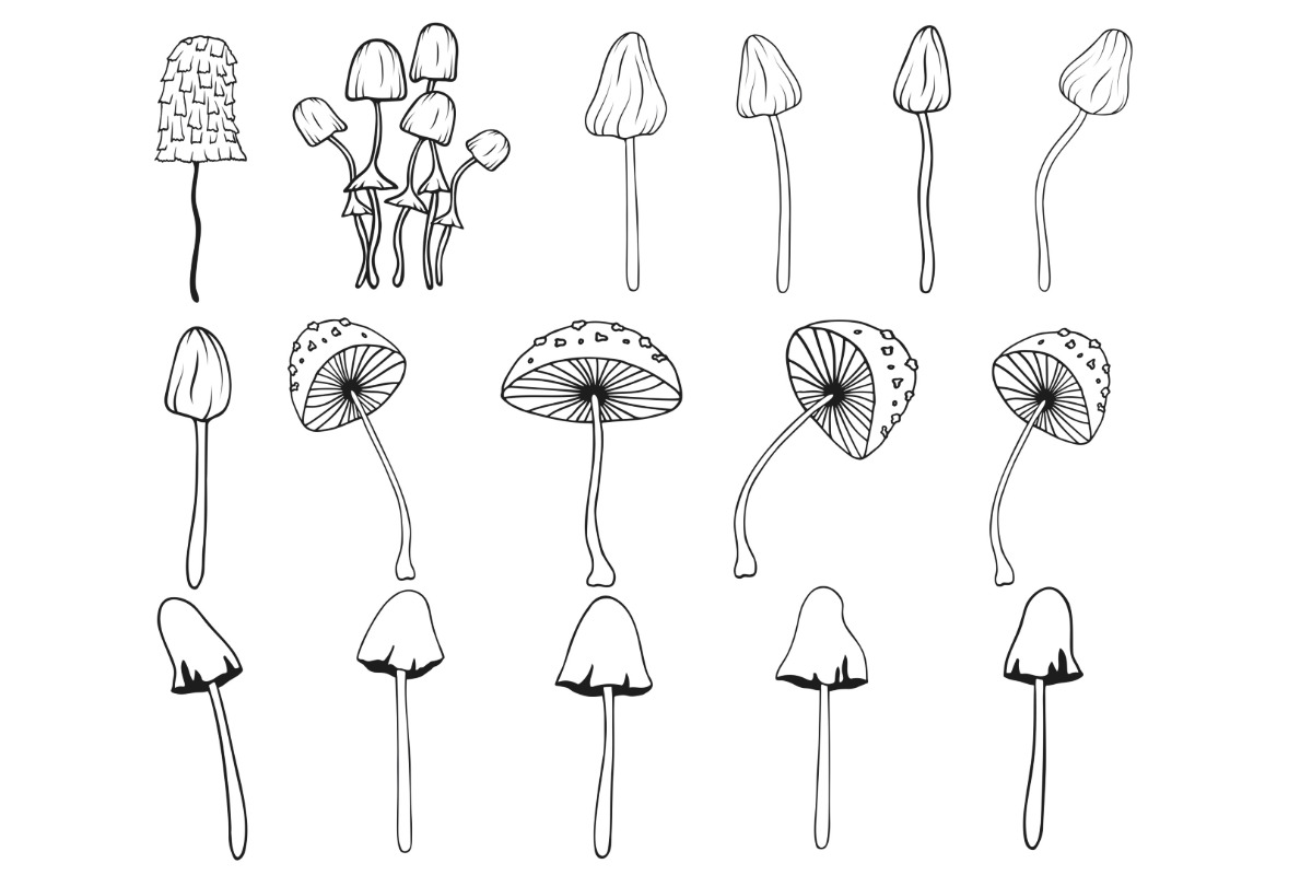 Mushrooms Set 3 Procreate Brush, a Brush Add-On by Disasterology Ink (Photo 10 of 10)