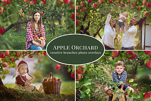 Apple Orchard Photo Overlays