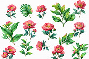 Watercolor Peony Clipart, an Illustration by Libby Wishes (Thumbnail 2 of 4)