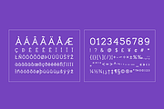 Tempoline Font (75% OFF!), a Sans Serif Font by Poli Gilad (Thumbnail 7 of 14)