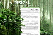 Director Resume Template, CV, a Resume Template by Career Canvas (Thumbnail 5 of 11)