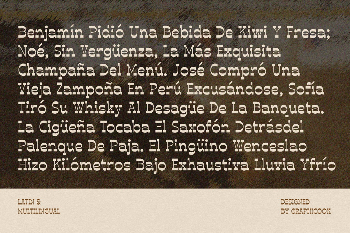 Broanse, a Slab Serif Font by graphicook (Photo 5 of 10)