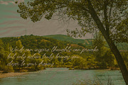 Golden Melody, a Script Font by MJB Letters (Thumbnail 3 of 10)