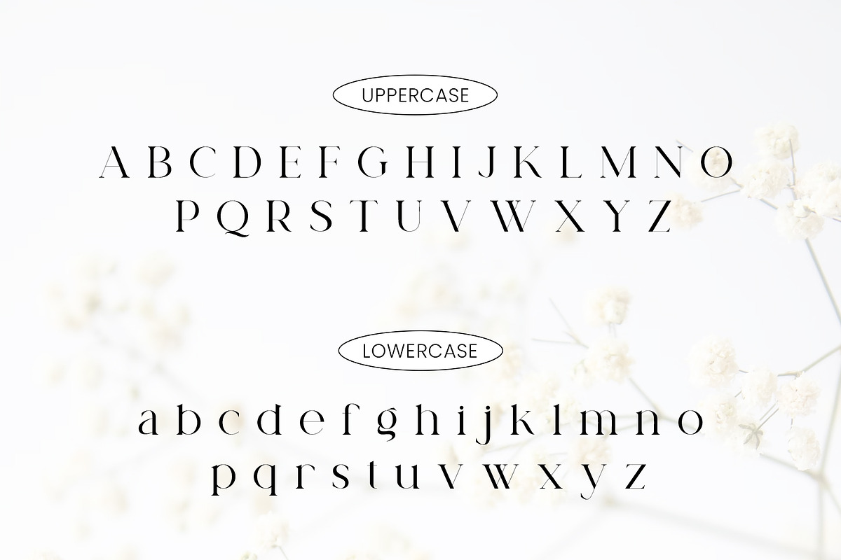 Rossile Serif Font, a Serif Font by Ermedia Studio (Photo 9 of 11)