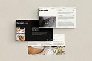 ADE / 3in1 Branding Pack, a Presentation Template by Wildnun Studio (Thumbnail 7 of 43)