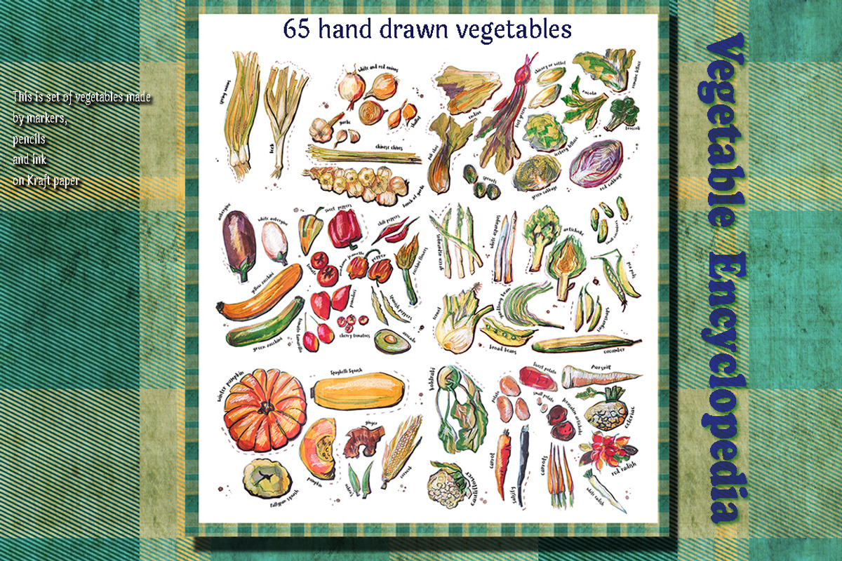 65 hand drawn vegetables, a Food Illustration by ariadna de raadt (Photo 2 of 3)