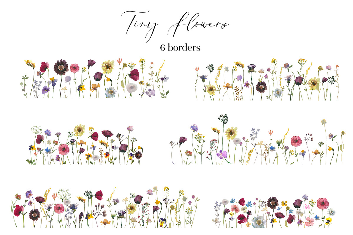 Tiny Flowers Pressed Floral Clipart, an Illustration by whiteheartdesign (Photo 6 of 17)