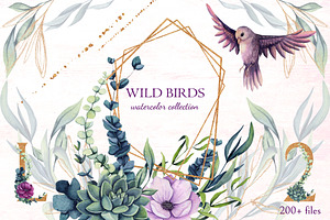 Wild Birds, an Illustration by Salted Galaxy