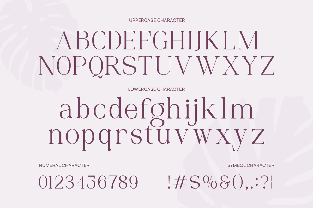 Palgrace Modern Serif Typeface Font, a Serif Font by Vadovastd (Photo 2 of 11)