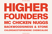 BN Hillside Grotesk, a Sans Serif Font by Bnick (Thumbnail 9 of 14)