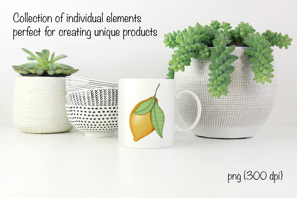Lemon, a Decorative Illustration by Iryna Mel (Photo 2 of 7)