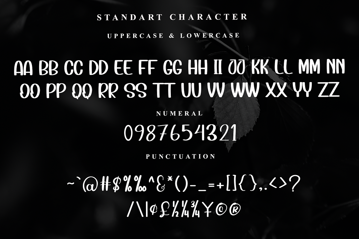 Baby lover, a Sans Serif Font by FreshTypeINK (Photo 2 of 7)
