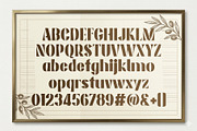Avoria, a Sans Serif Font by Reza Studio (Thumbnail 6 of 7)