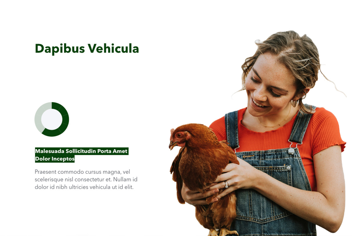Farming Keynote Template, a Presentation Template by Jumsoft (Photo 16 of 21)