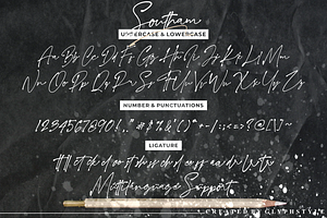 Southam Natural Signature Script