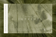 Organic Textured Backgrounds, a Background Graphic by Altea Design Studio (Thumbnail 6 of 20)
