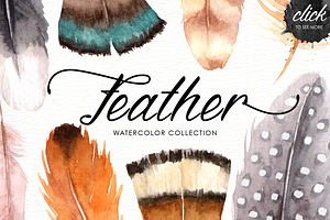 Feather Watercolor Collection