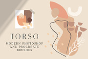 TORSO - Photoshop & Procreate Stamps, a Brush Add-On by Struvictory.art (Thumbnail 1 of 8)