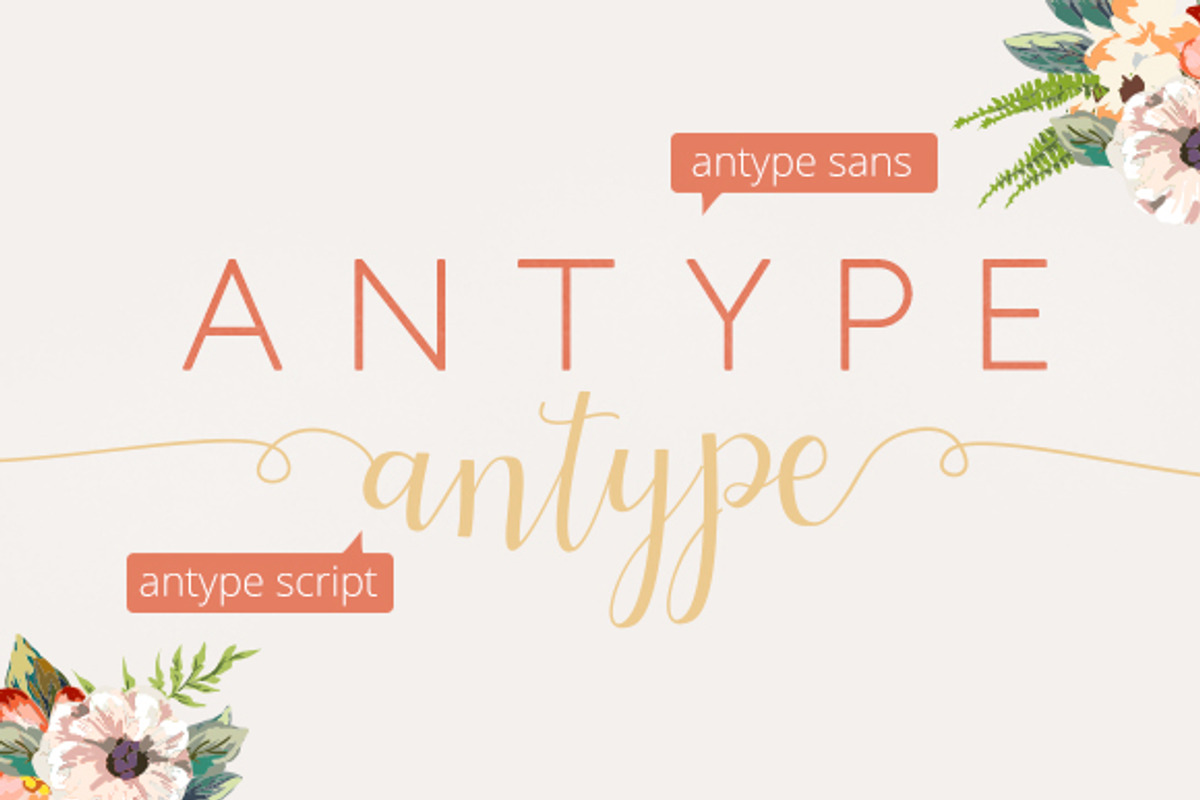 Antype Script And Sans preview 5