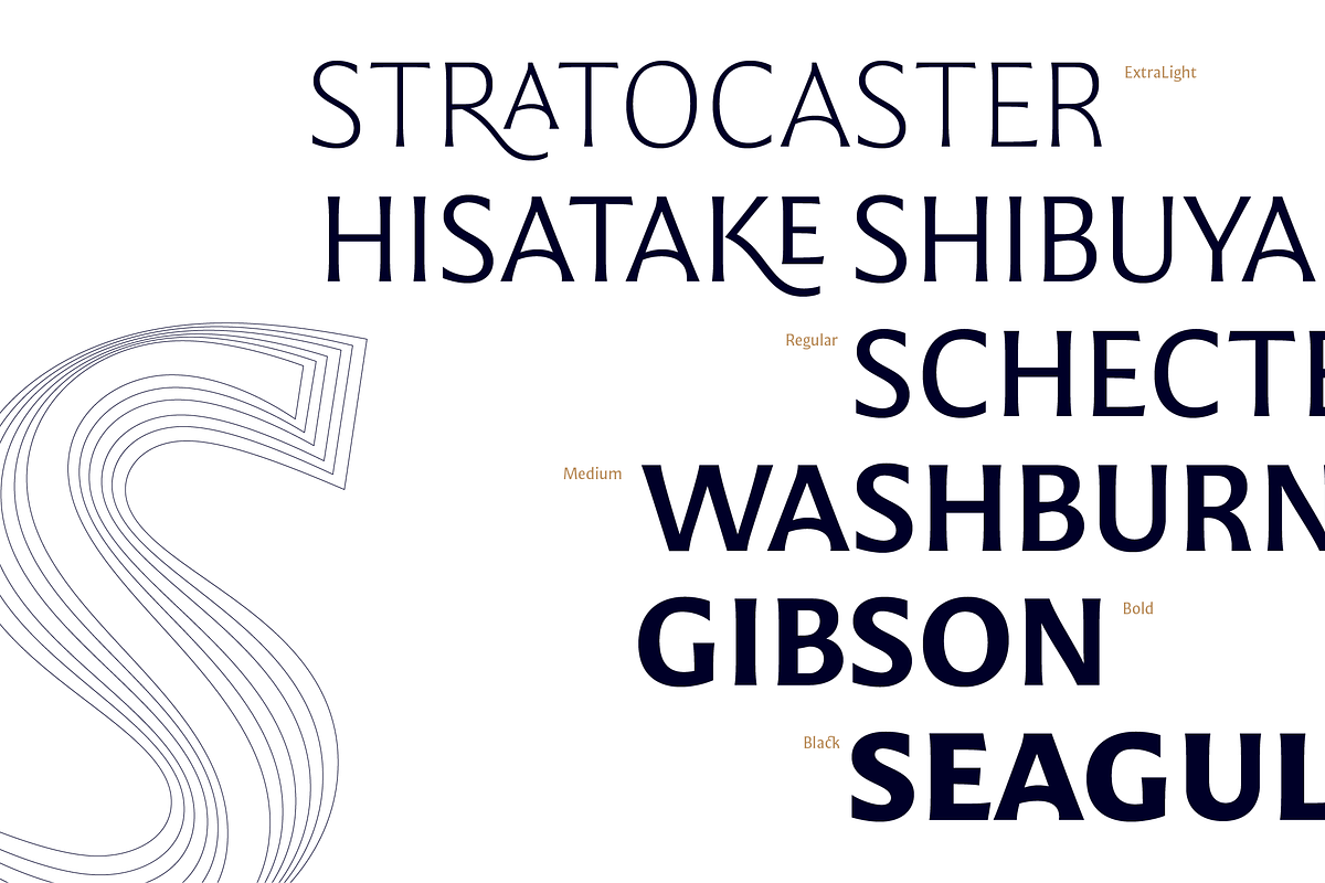 Mestiza Sans, a Sans Serif Font by Lechuga Type (Photo 6 of 19)