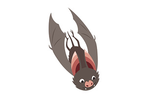 Bat. Concept cartoon bat. Vector, an Animal Illustration by the8monkey