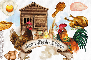 Farm Chicken Watercolor Illustration