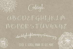 Caleigh Script Font With Bonus